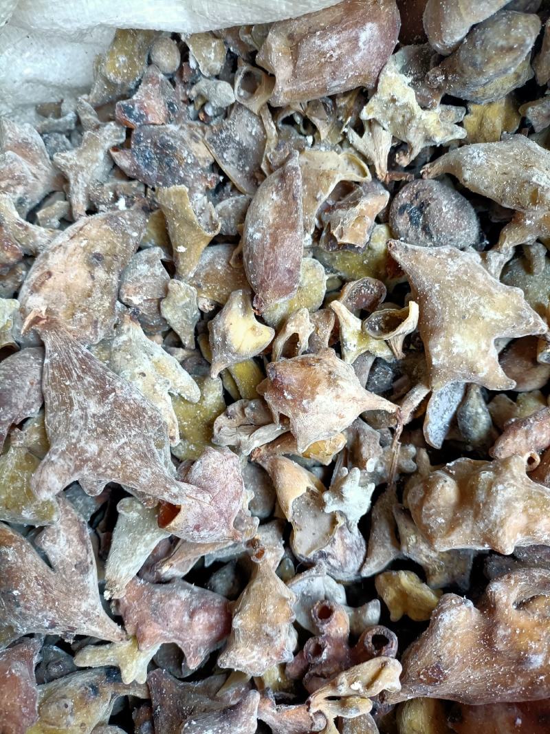中药材五倍子，产地直销，一手货源，大货批发，量大从优