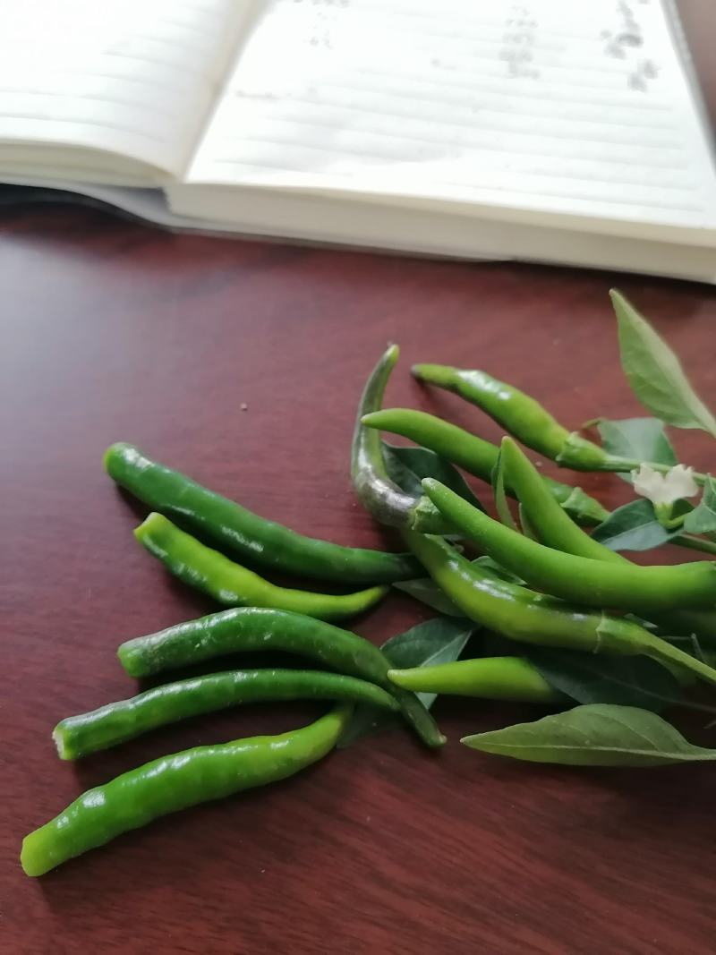 无把带把青米椒腌制青米椒腌制艳红小米椒无把青红米椒