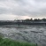 海水石斑鱼养殖基地直销量大从优