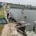 海水石斑鱼养殖基地直销量大从优