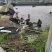 海水石斑鱼养殖基地直销量大从优