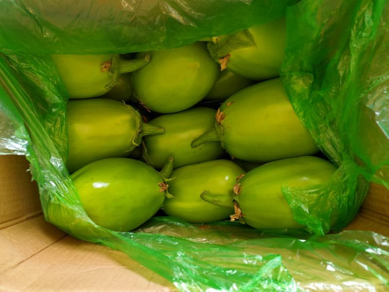 【牛商推荐】青茄子承接全国订单品质保证价优欢迎咨询
