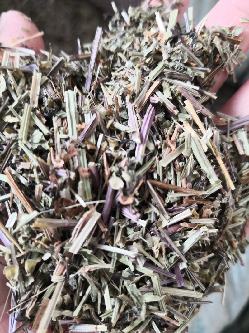 半枝莲全草头茬河南干货人工种植量大从优