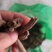 紫金龙云南干货1斤起包邮健康至上莫贪便宜
