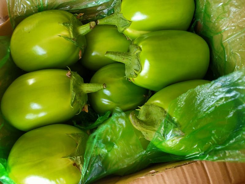 【牛商推荐】青茄子承接全国订单品质保证价优欢迎咨询