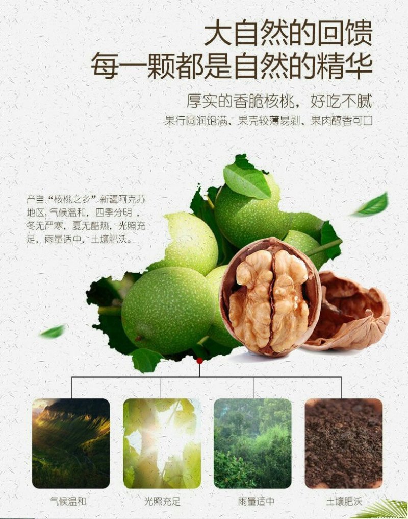 2020新货新疆薄皮核桃好核桃多规格包邮