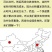 2020新货新疆薄皮核桃好核桃多规格包邮