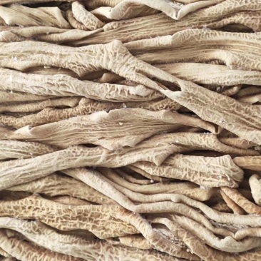 牛小肠大肠现货秒发，加工厂直销，可预订