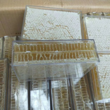 源生态绿色食品，美味可口的土蜂蜜