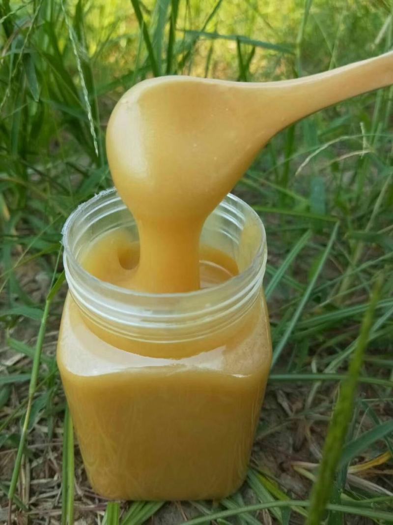 源生态绿色食品，美味可口的土蜂蜜