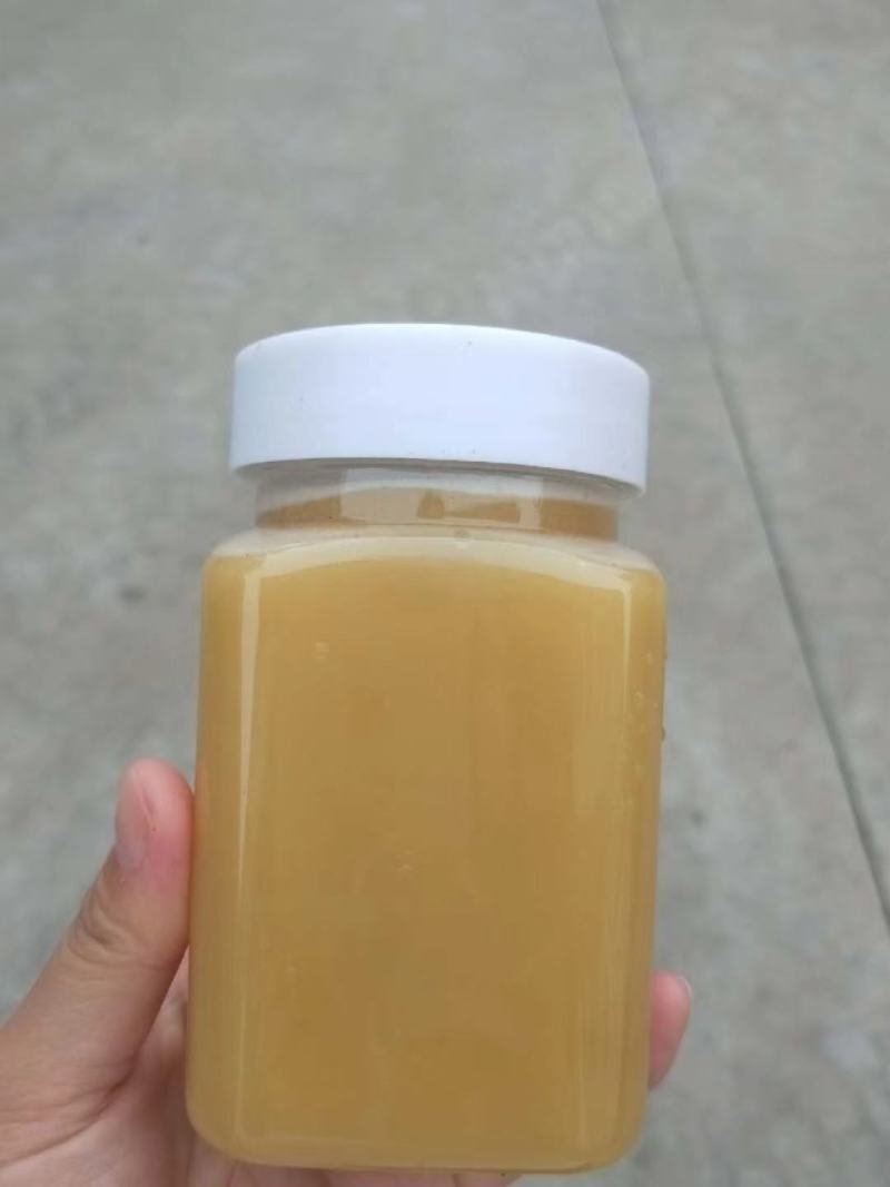 源生态绿色食品，美味可口的土蜂蜜