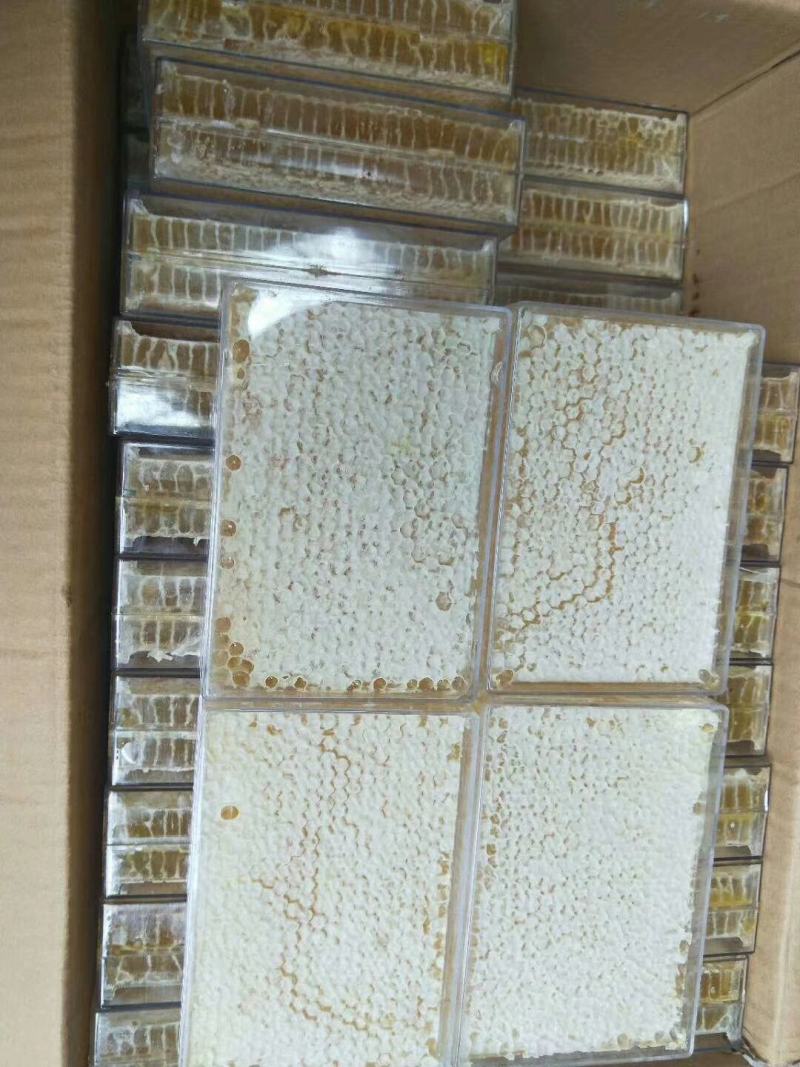 源生态绿色食品，美味可口的土蜂蜜