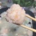 北海青虾滑含虾量98%