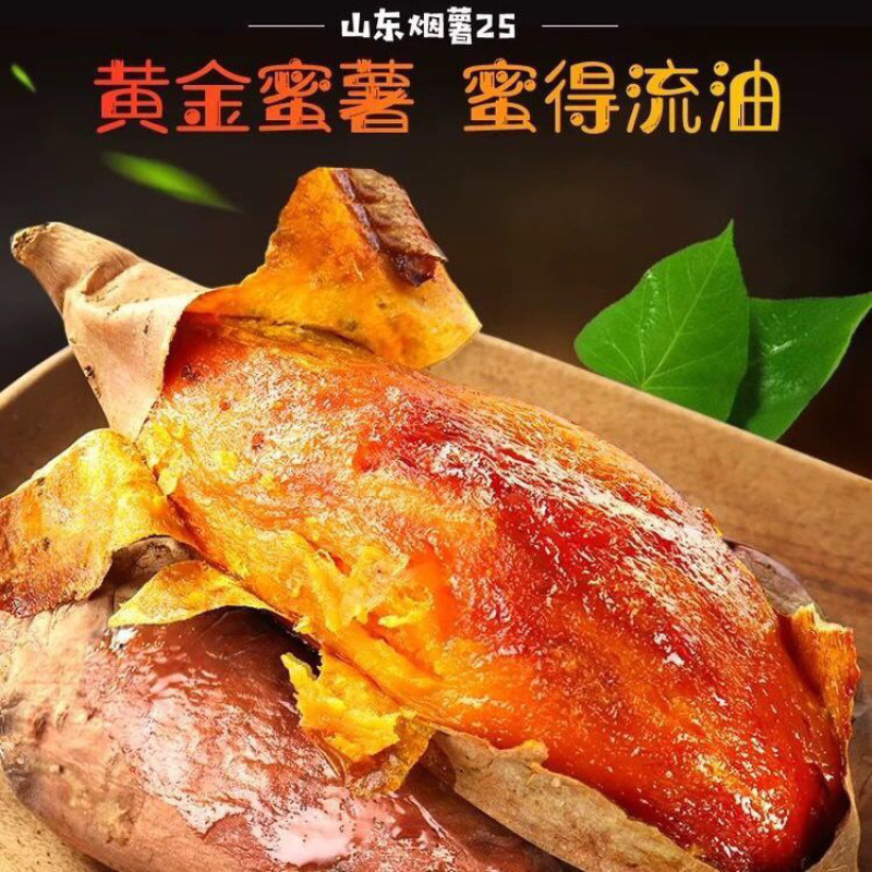 烟薯25红薯山东寿光5斤一件代发包邮