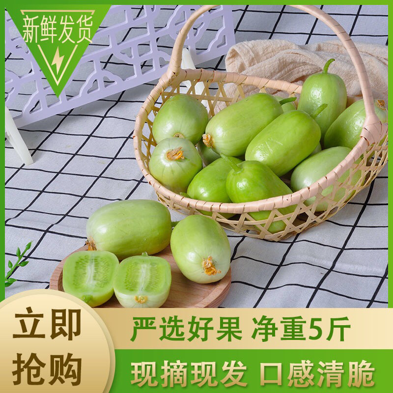 小黄瓜山东寿光金童玉女5斤一件代发