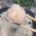 北海青虾滑，含虾量98%