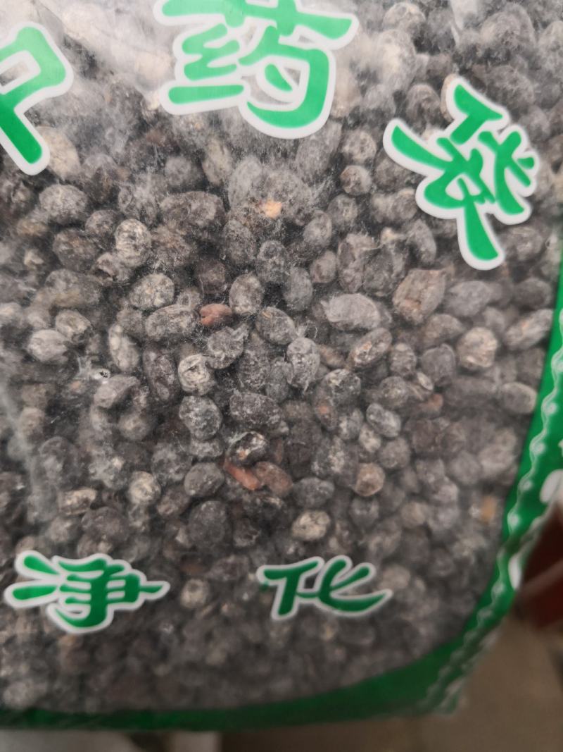 淡豆豉干货中药材用量大从优常年经营各种中药材
