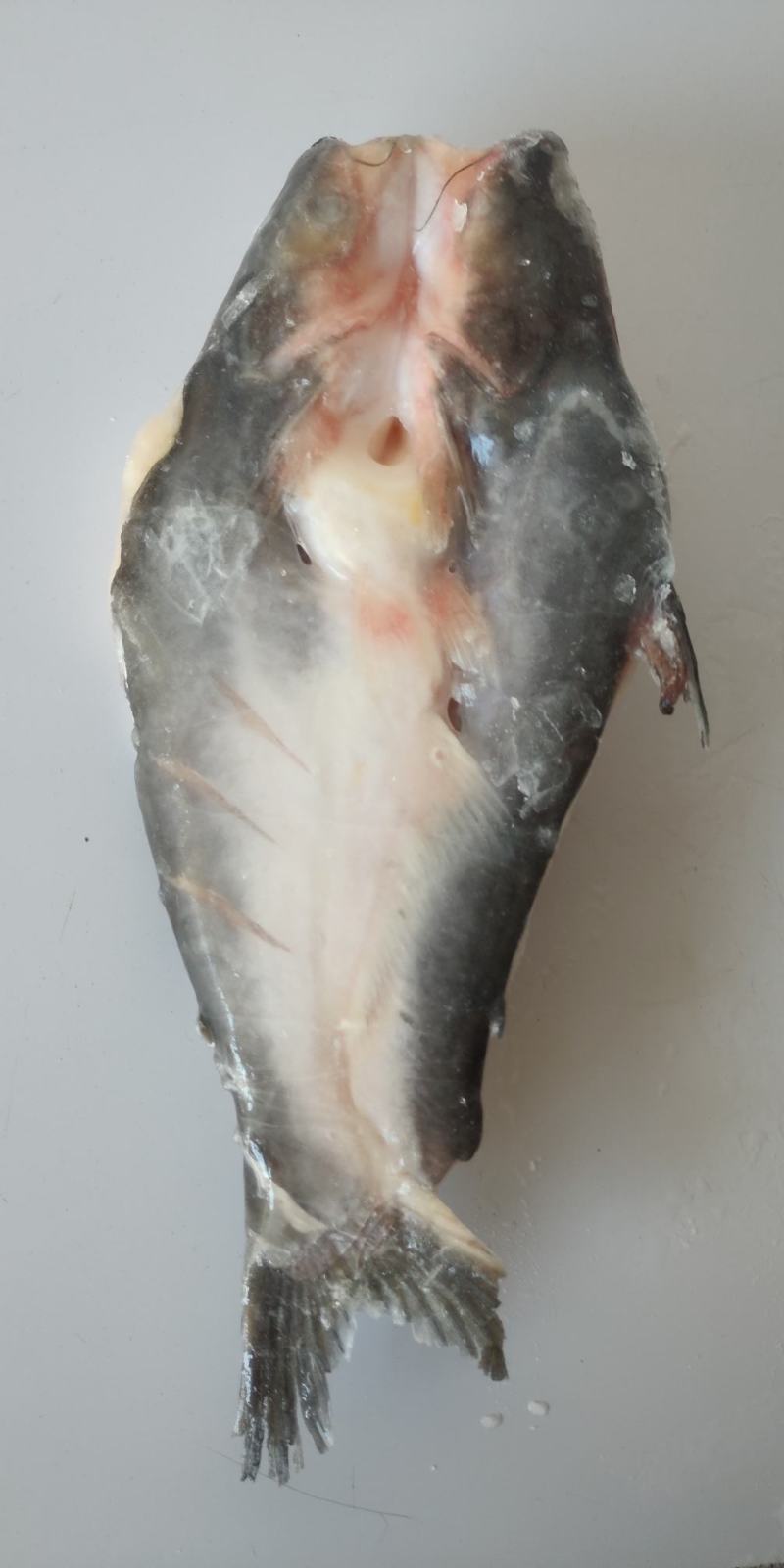 北海巴沙鱼，80一件，平均每斤5.4元不到，每天无剩货