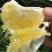 台湾品种，爆汁款，平和种植葡萄柚青甜可口