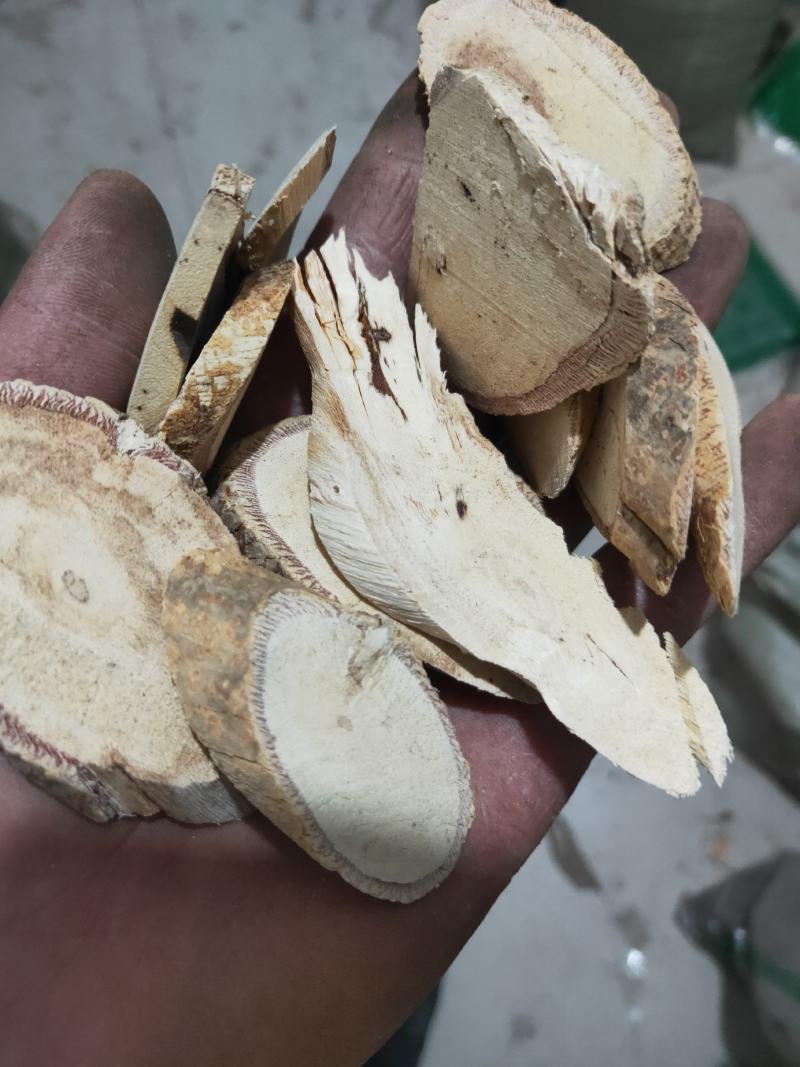 中药牛大力货好量大代抓各种药方