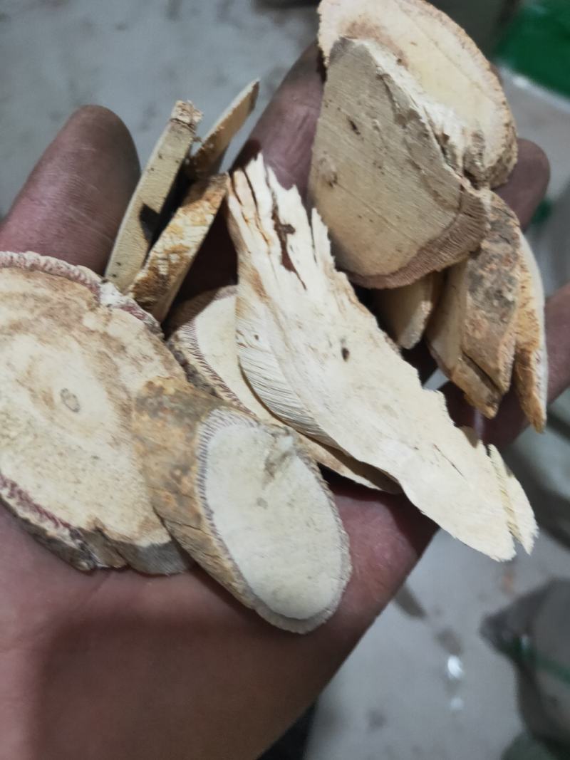 中药牛大力货好量大代抓各种药方
