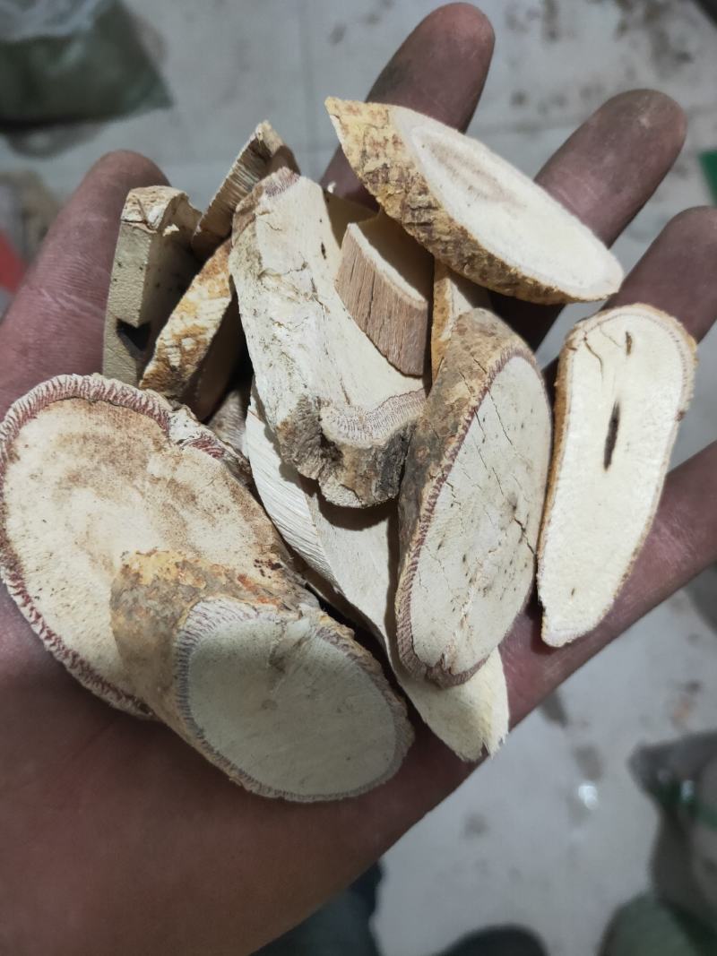 中药牛大力货好量大代抓各种药方
