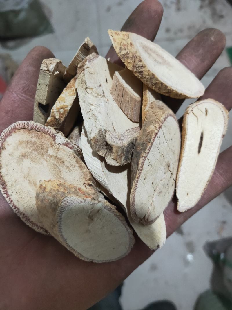 中药牛大力货好量大代抓各种药方