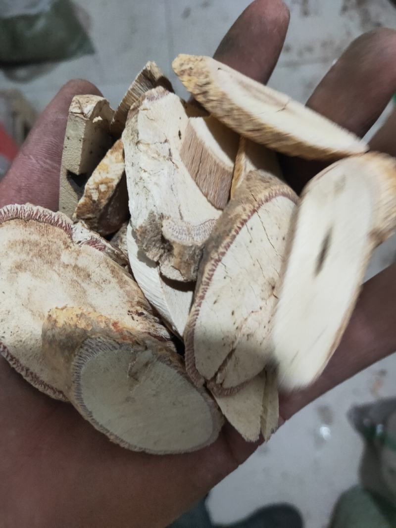 中药牛大力货好量大代抓各种药方