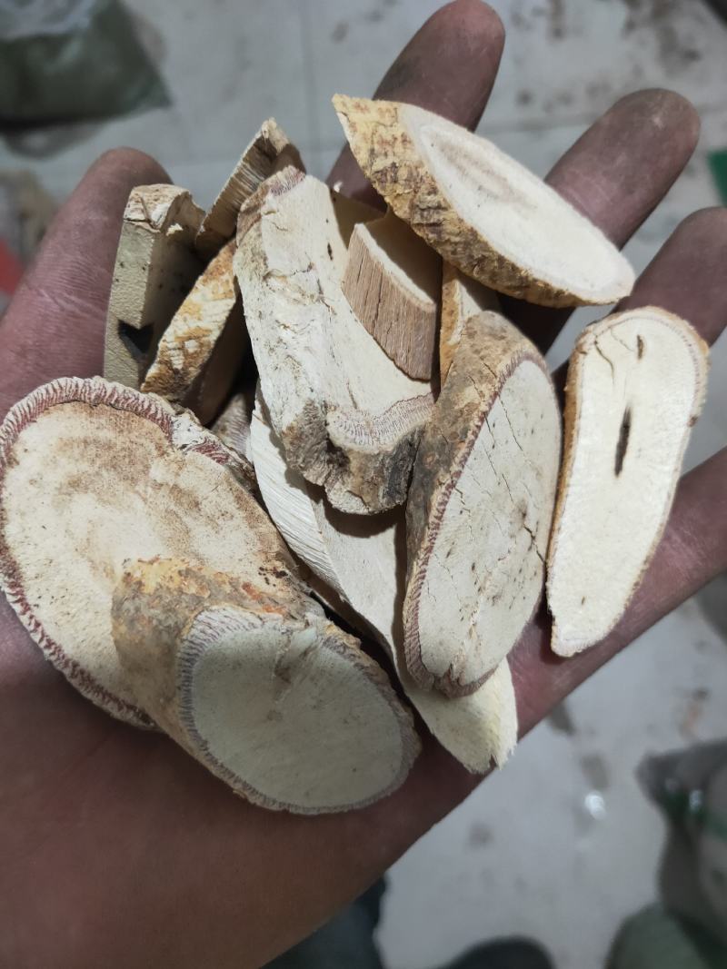 中药牛大力货好量大代抓各种药方