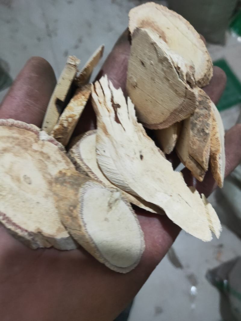 中药牛大力货好量大代抓各种药方
