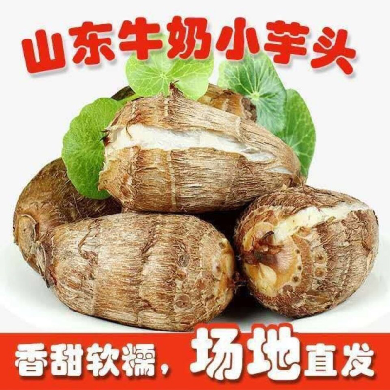 芋头奶心芋头山东寿光5斤一件代发包售后