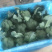 优质小米西兰花基地直发品质保证