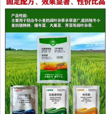唑草酮 二甲四氯 双氟磺草胺 防除小麦田播娘蒿猪秧秧等阔