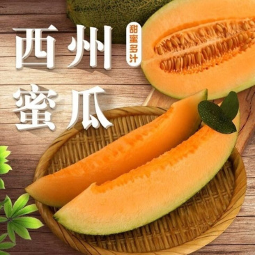 西州蜜25号甜瓜香甜爽口肉厚多汁