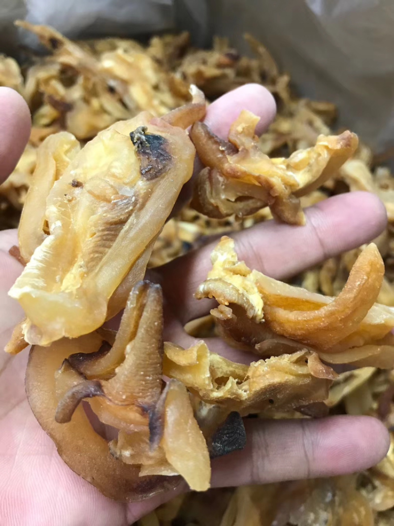 响螺嘴（螺咀)足干新货