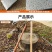 户外全钢小锄头家用种菜农具两用挖土开荒山翻地松土神器十字