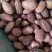 红刀豆货好量大货好质量优不满意保退换