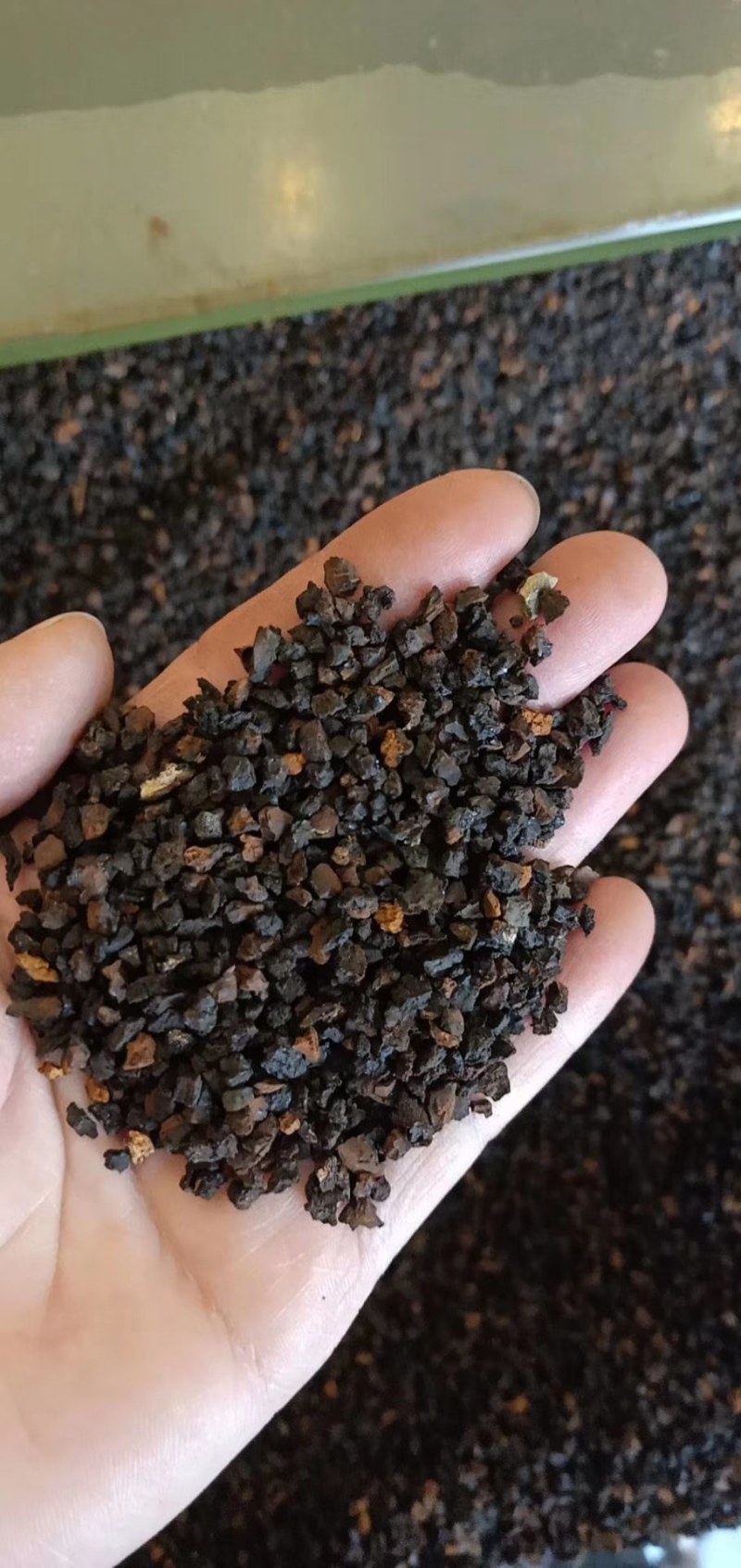 白桦茸又叫做桦树茸。天然胰岛素。两斤也是批发价。质量保障
