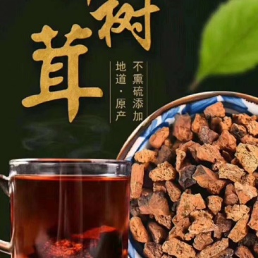 白桦茸又叫做桦树茸。天然胰岛素。两斤也是批发价。质量保障