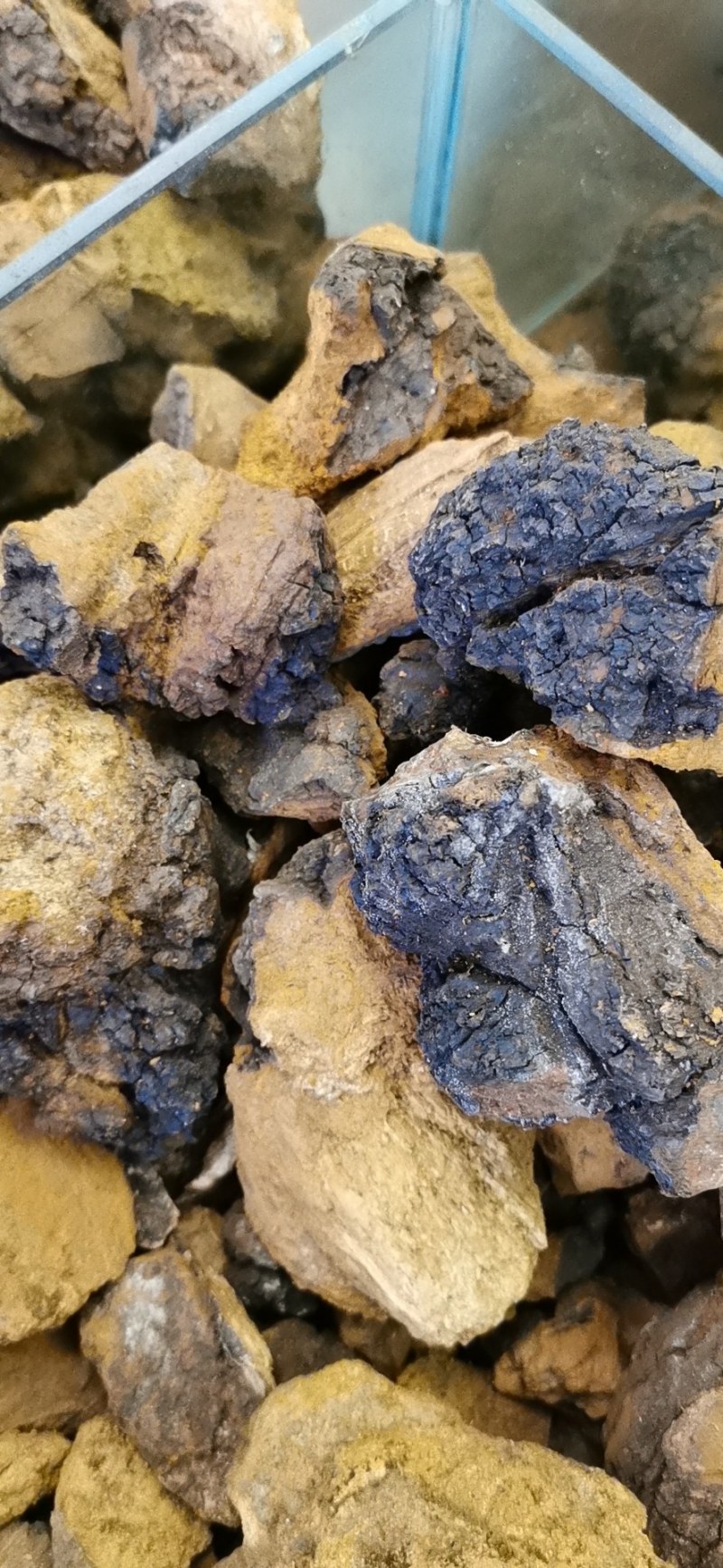 白桦茸又叫做桦树茸。天然胰岛素。两斤也是批发价。质量保障