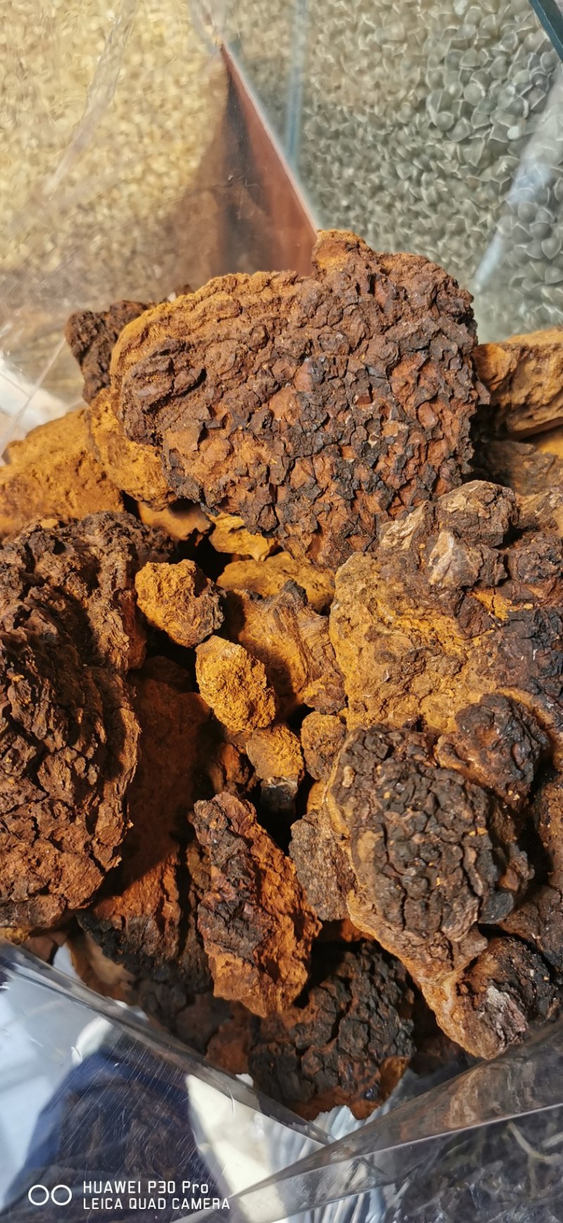 白桦茸又叫做桦树茸。天然胰岛素。两斤也是批发价。质量保障