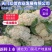 精品松花散花上市,销售各地,欢迎采购,质量可靠,天天发车