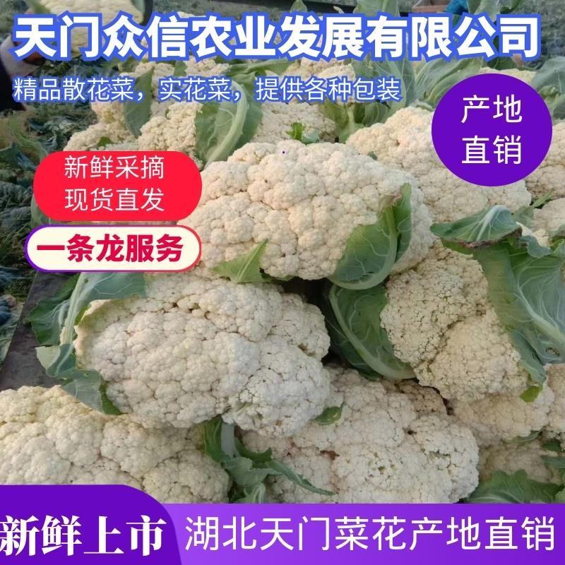 精品松花散花上市，销售各地，欢迎采购，质量可靠，天天发车
