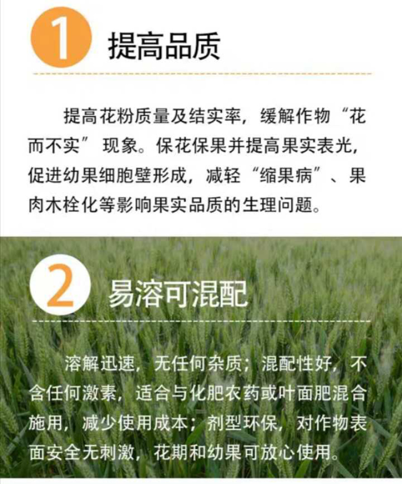 流体硼叶面硼肥果蔬保花保果促花芽分化提高座果微量元素