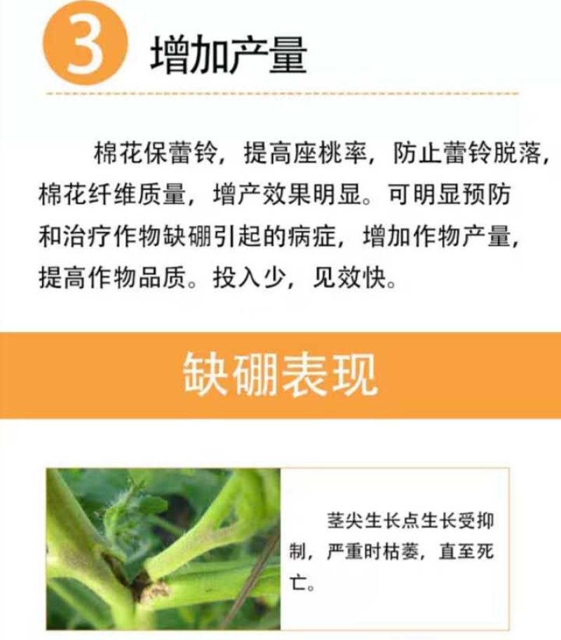 流体硼叶面硼肥果蔬保花保果促花芽分化提高座果微量元素
