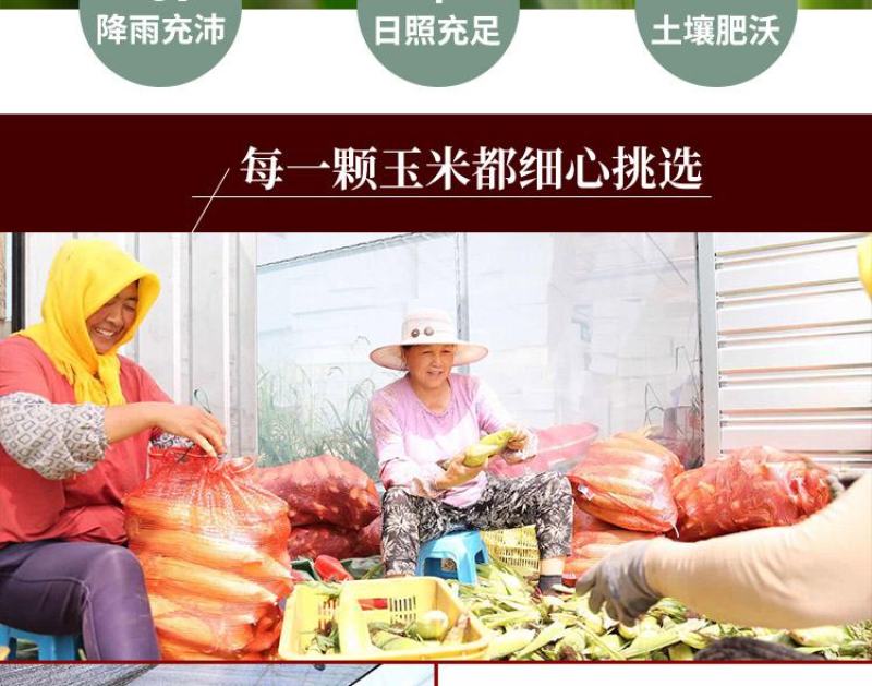 布大叔红色水果玉米红宝石水果玉米真空装新品上市鲜香甜嫩