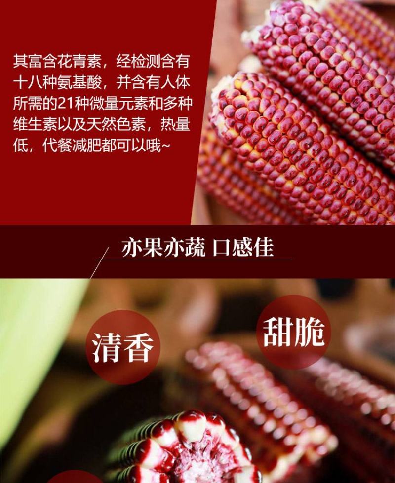 布大叔红色水果玉米红宝石水果玉米真空装新品上市鲜香甜嫩
