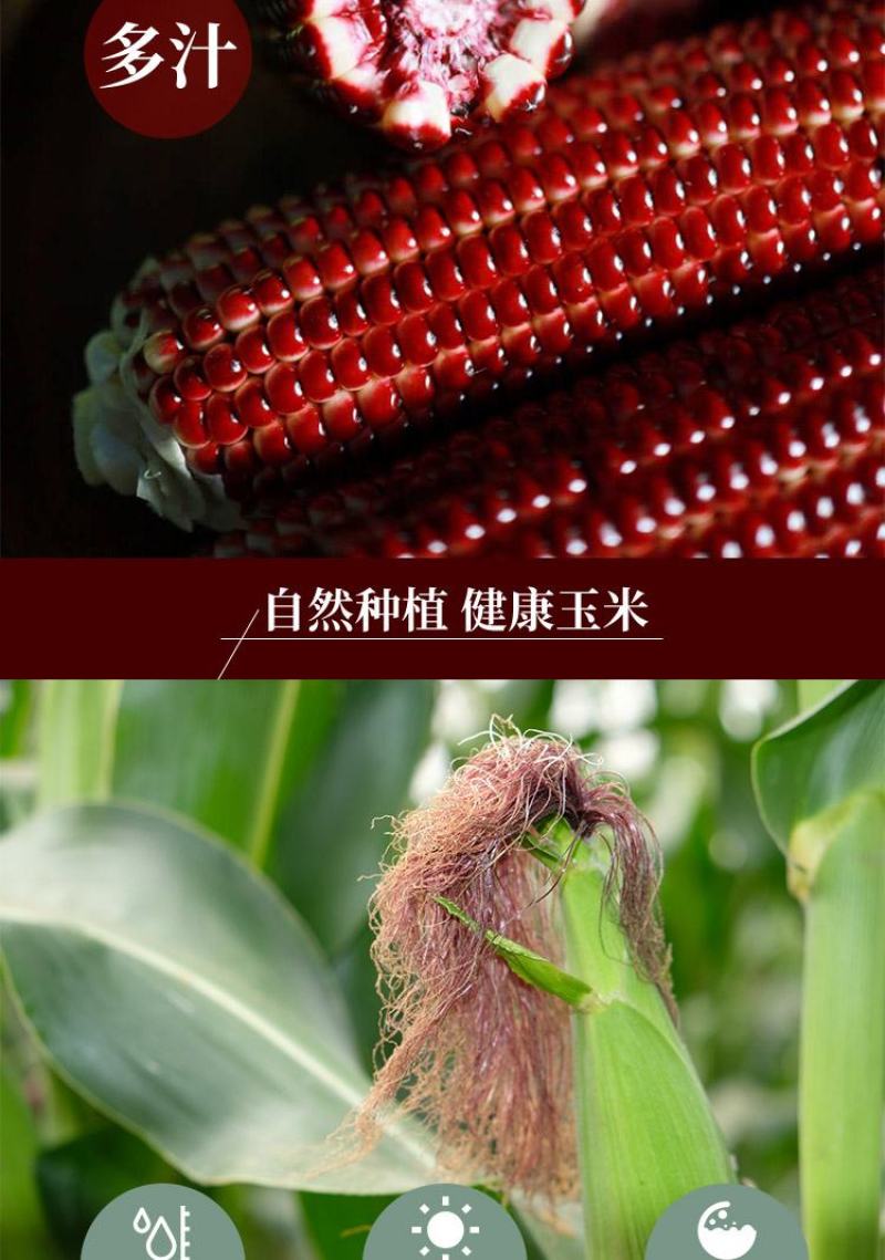 布大叔红色水果玉米红宝石水果玉米真空装新品上市鲜香甜嫩