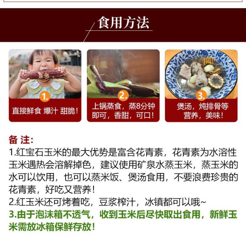 布大叔红色水果玉米红宝石水果玉米真空装新品上市鲜香甜嫩