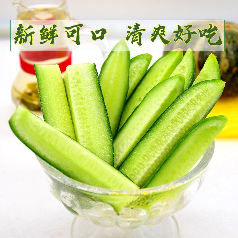 小黄瓜山东寿光水果味无刺5斤一件代发
